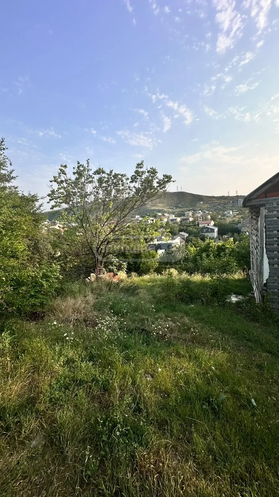 Agricultural Plot For Sale In Mukhiani view 4