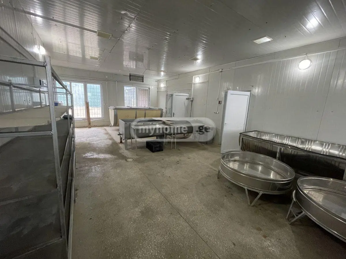 Manufacturing Commercial Area For Sale In Kvemo Teleti, In Gardabani Municipality view 11