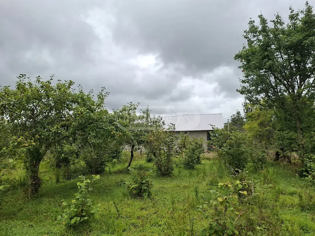 Agricultural Plot For Sale In Shekvetili, In Ozurgeti Municipality view 12