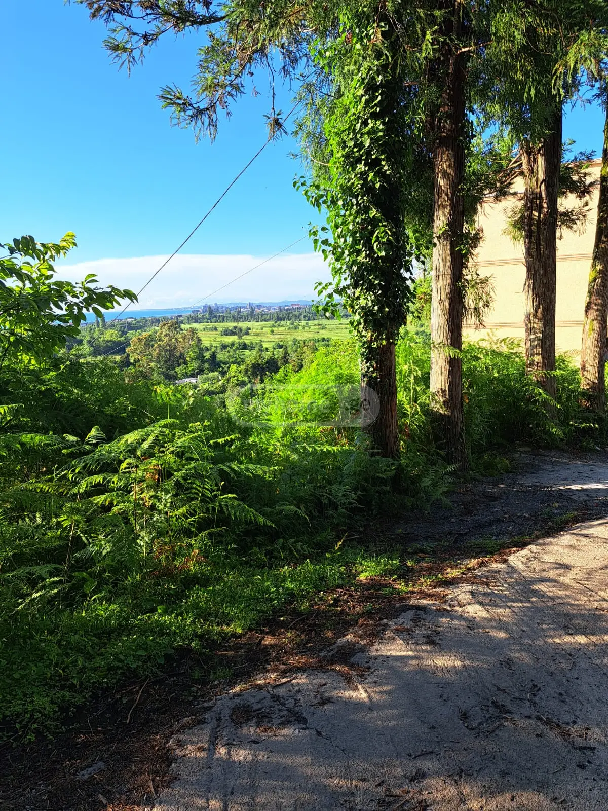 Agricultural Plot For Sale In Tsikhisdziri, In Kobuleti Municipality view 1