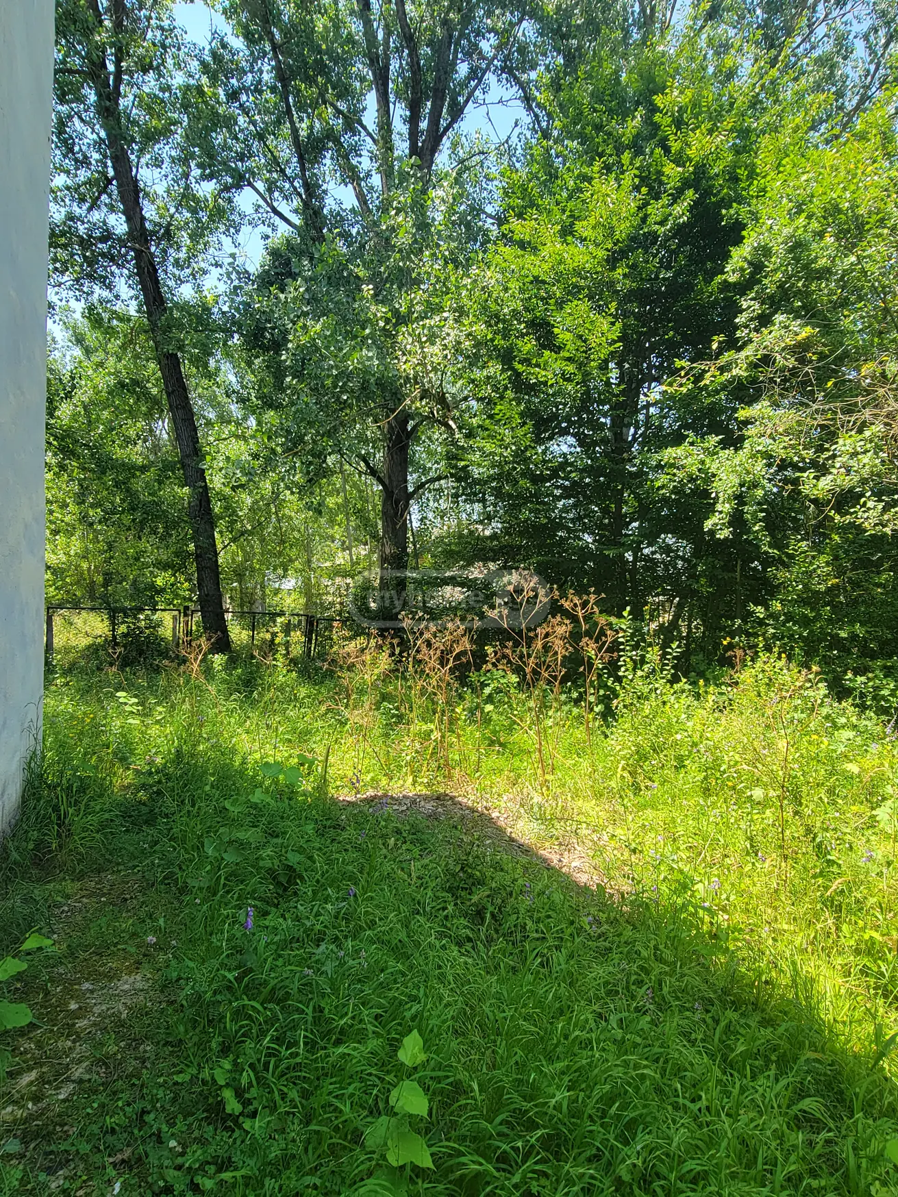 იყიდება Universal Commercial Area In Sioni, In Tianeti Municipalityში view 5