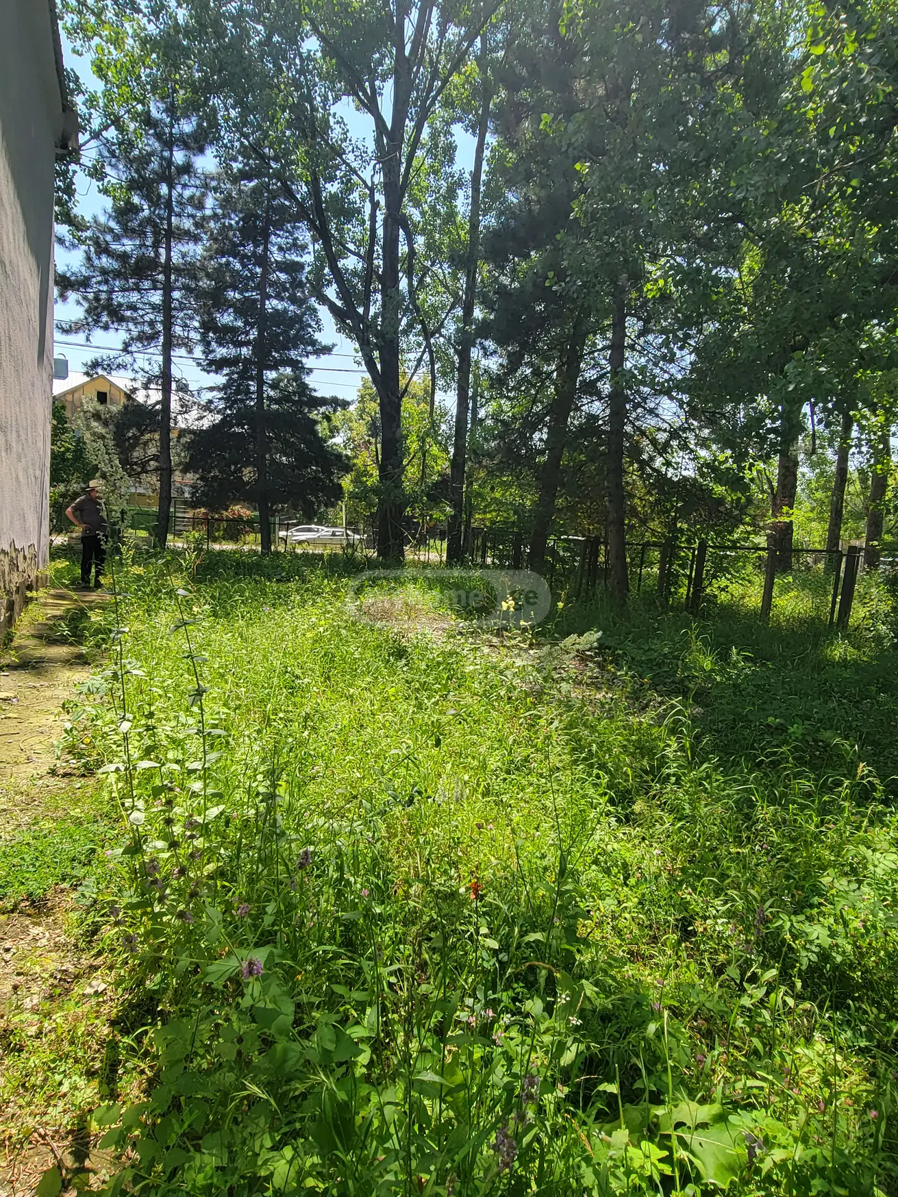 იყიდება Universal Commercial Area In Sioni, In Tianeti Municipalityში view 4