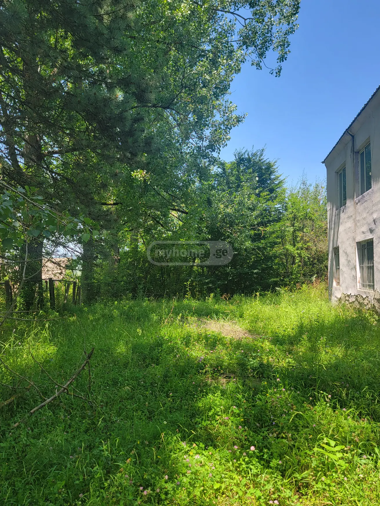 იყიდება Universal Commercial Area In Sioni, In Tianeti Municipalityში view 3