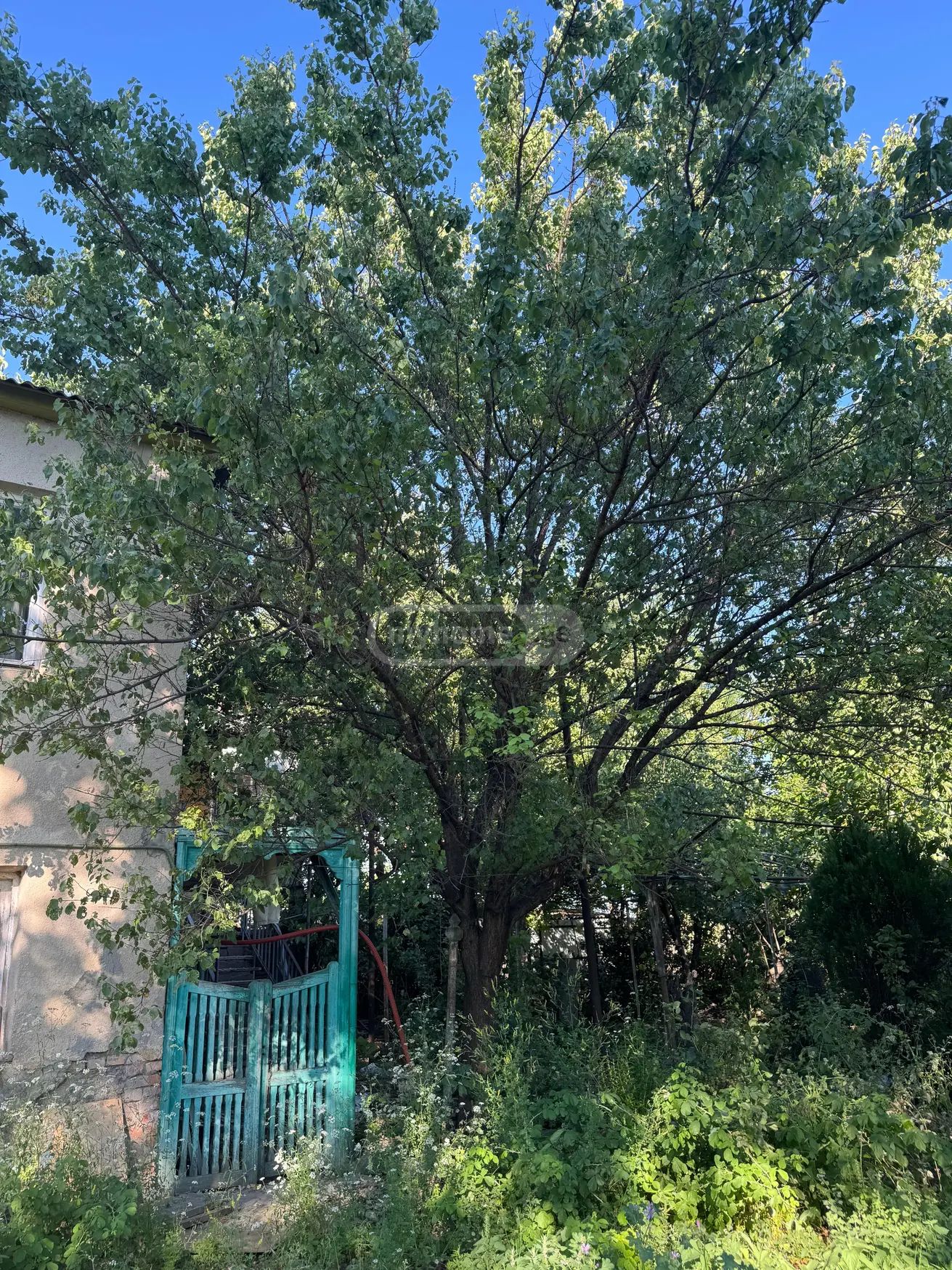 3 Room Country House For Sale view 7