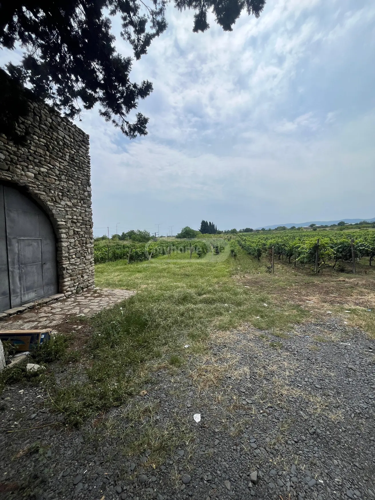 Investment / For Construction Plot For Sale In Akhasheni, In Gurjaani Municipality view 2