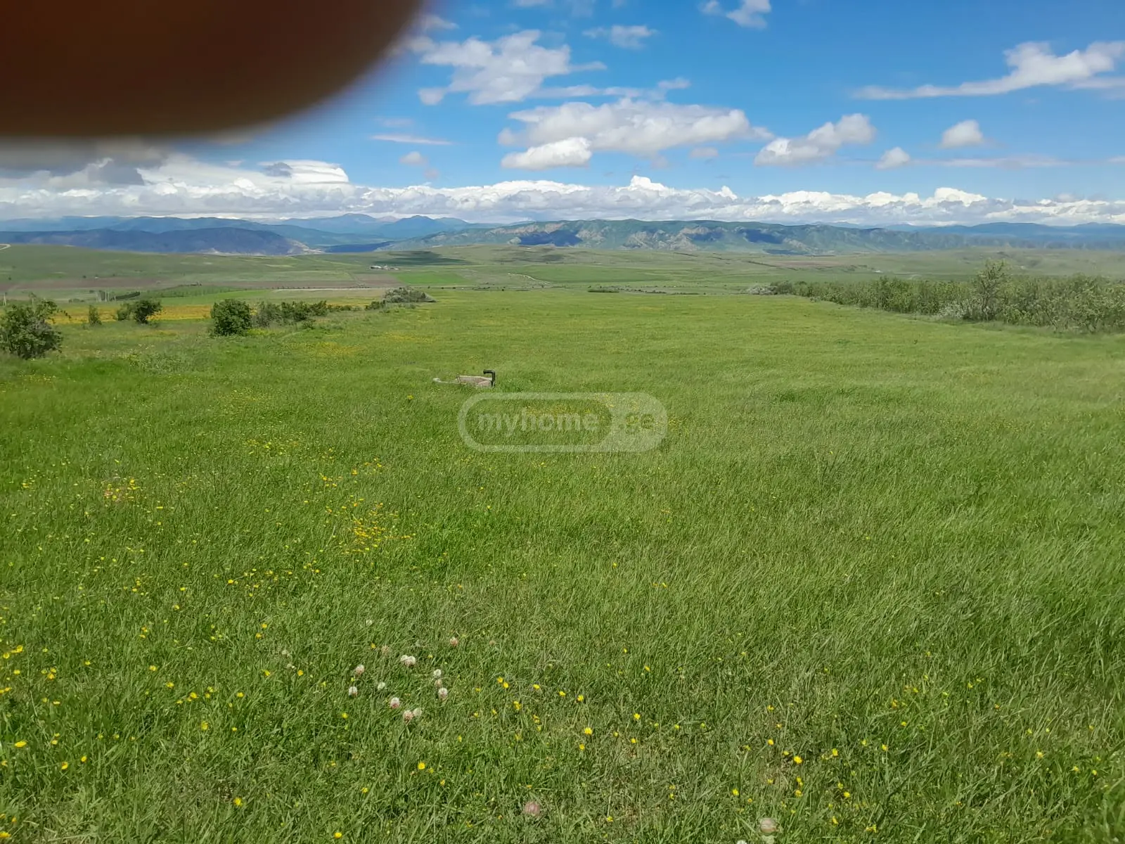 იყიდება Agricultural Plot In Kaspiში view 5