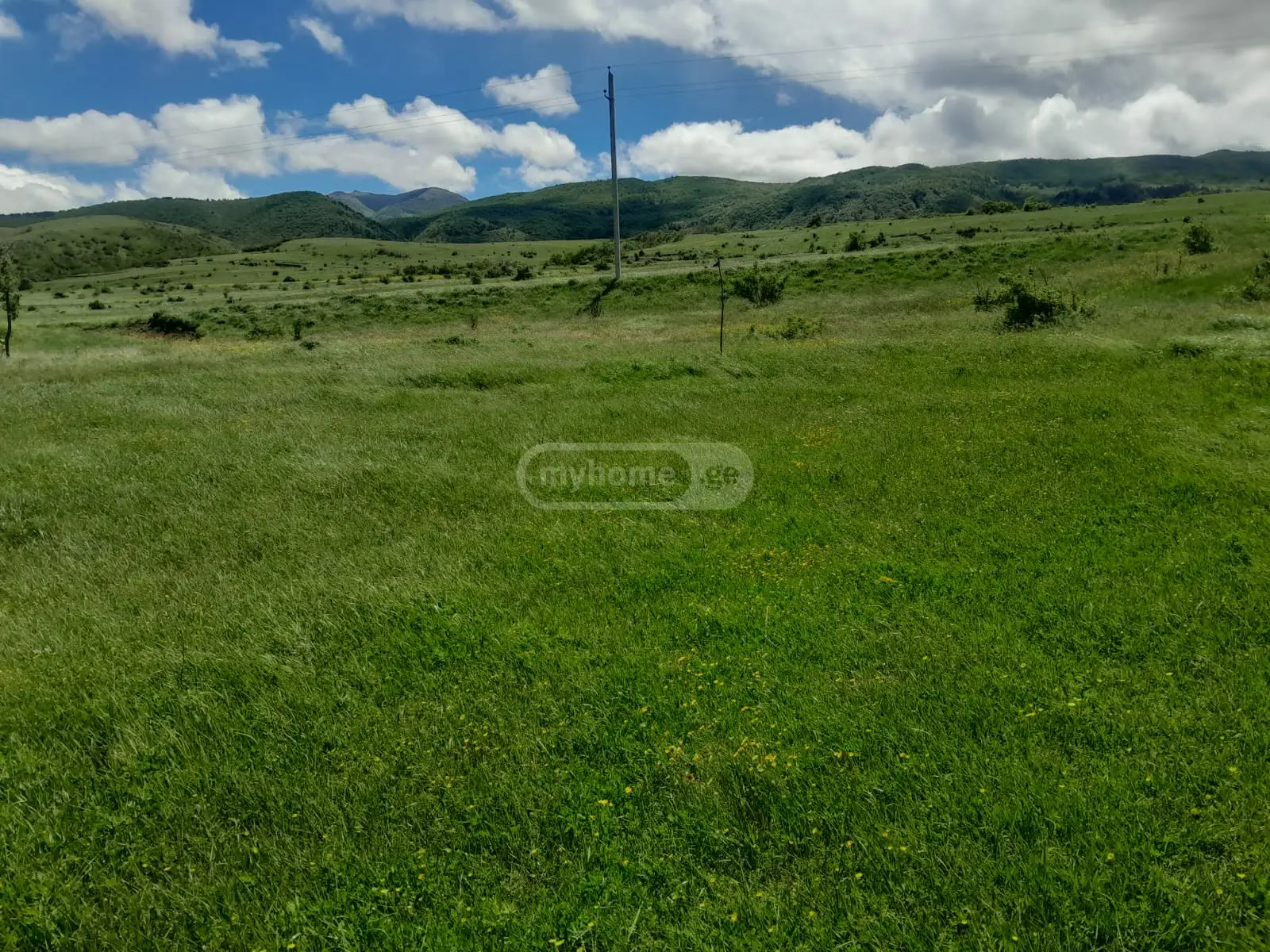 იყიდება Agricultural Plot In Kaspiში view 3
