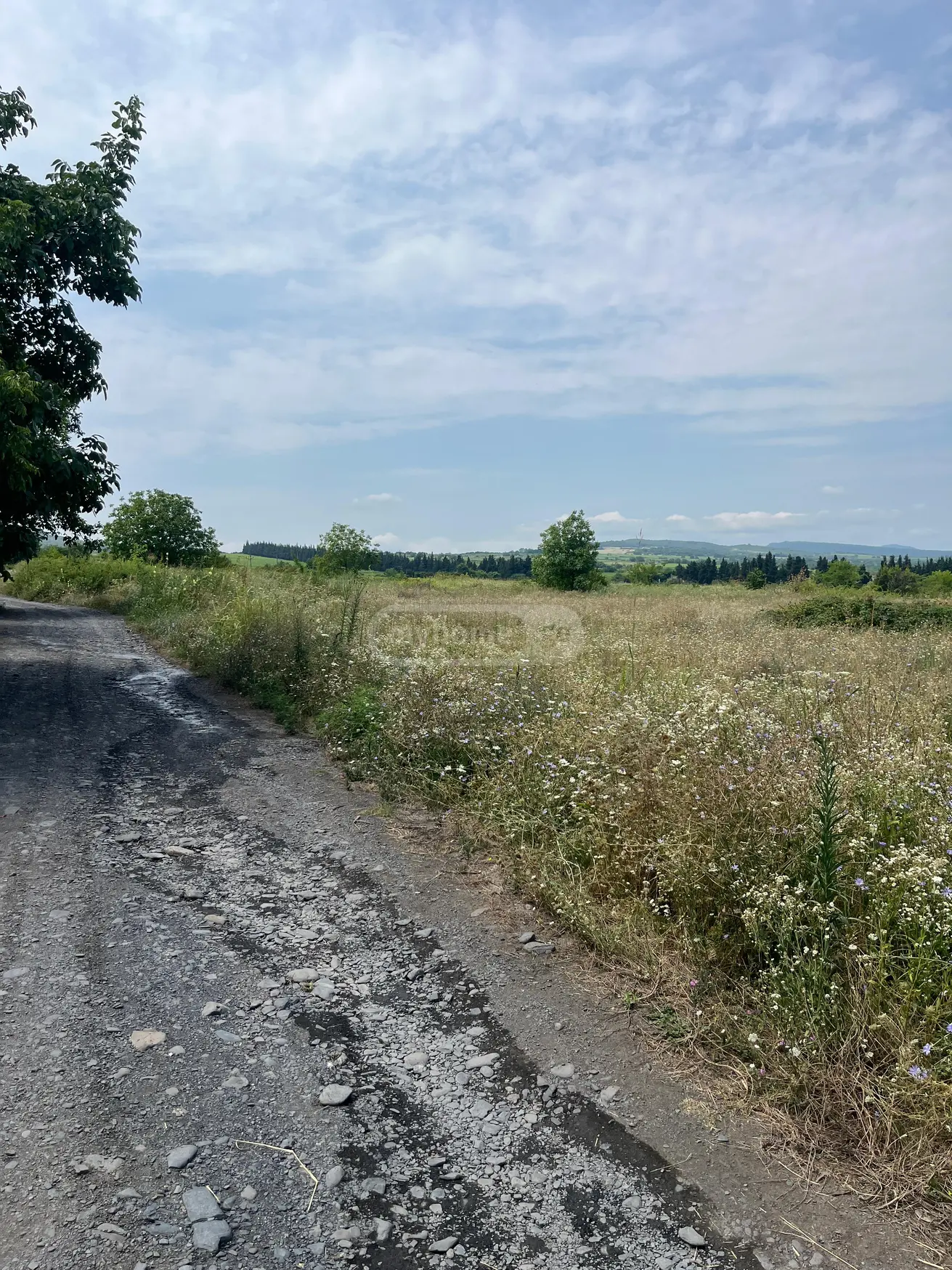 Investment / For Construction Plot For Sale In Akhasheni, In Gurjaani Municipality view 4