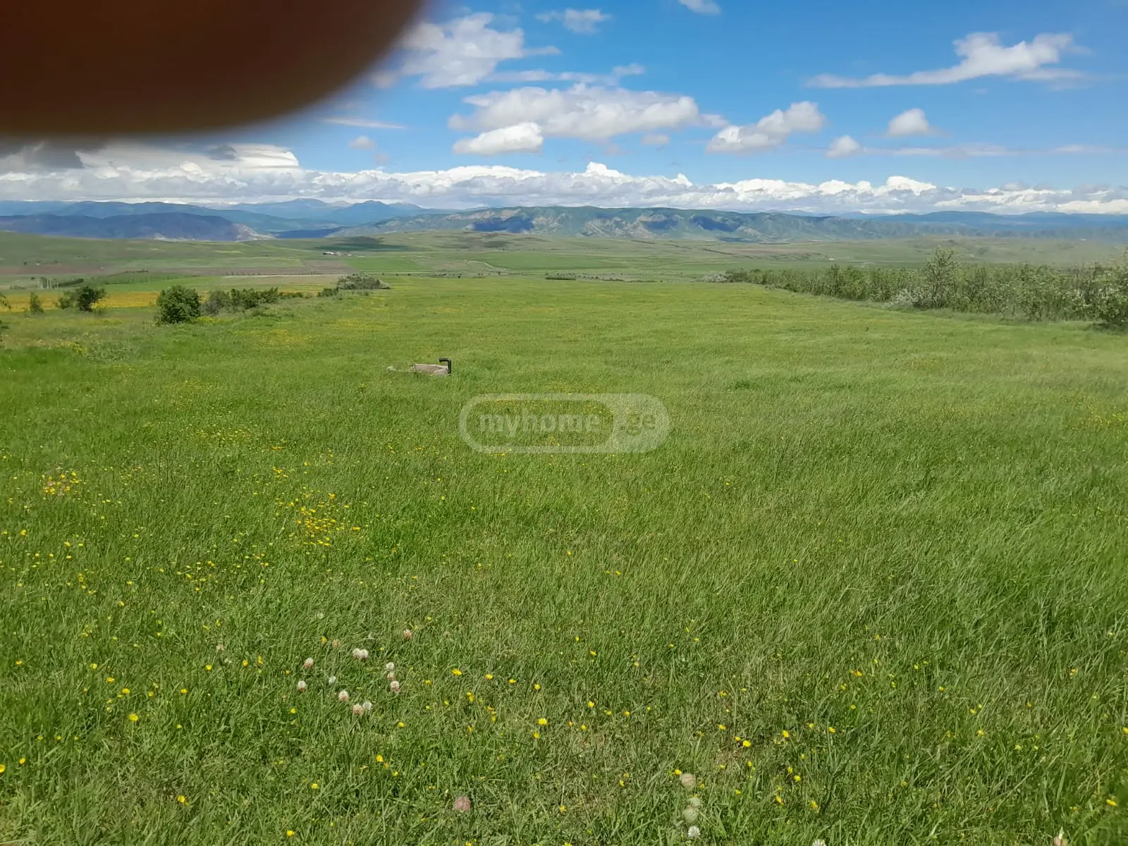 იყიდება Agricultural Plot In Kaspiში view 6