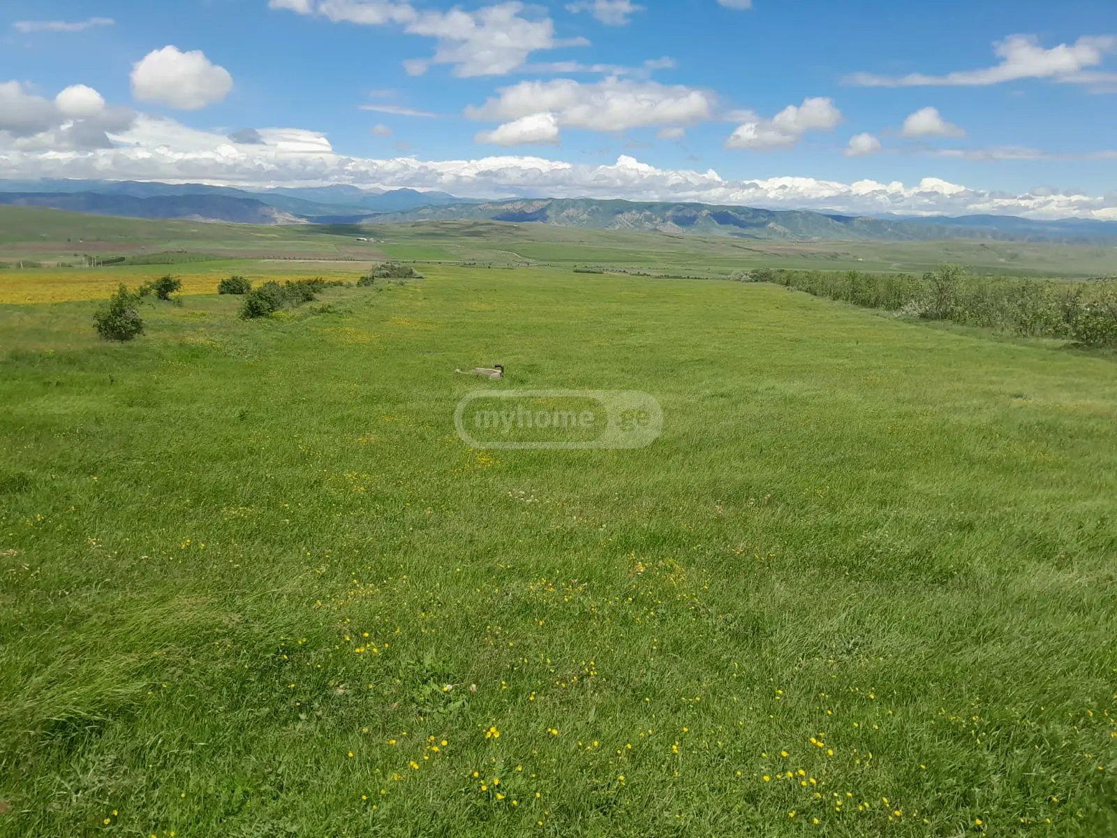 იყიდება Agricultural Plot In Kaspiში view 2