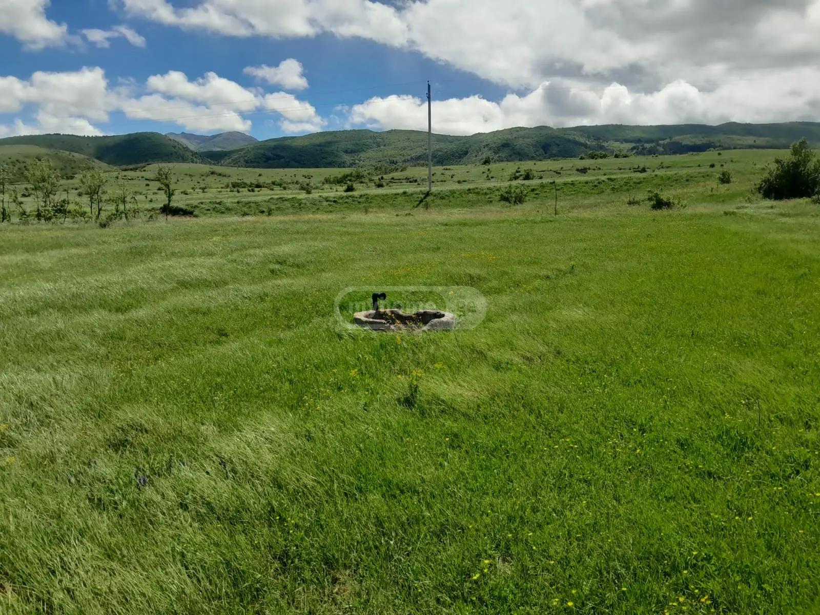 იყიდება Agricultural Plot In Kaspiში view 7