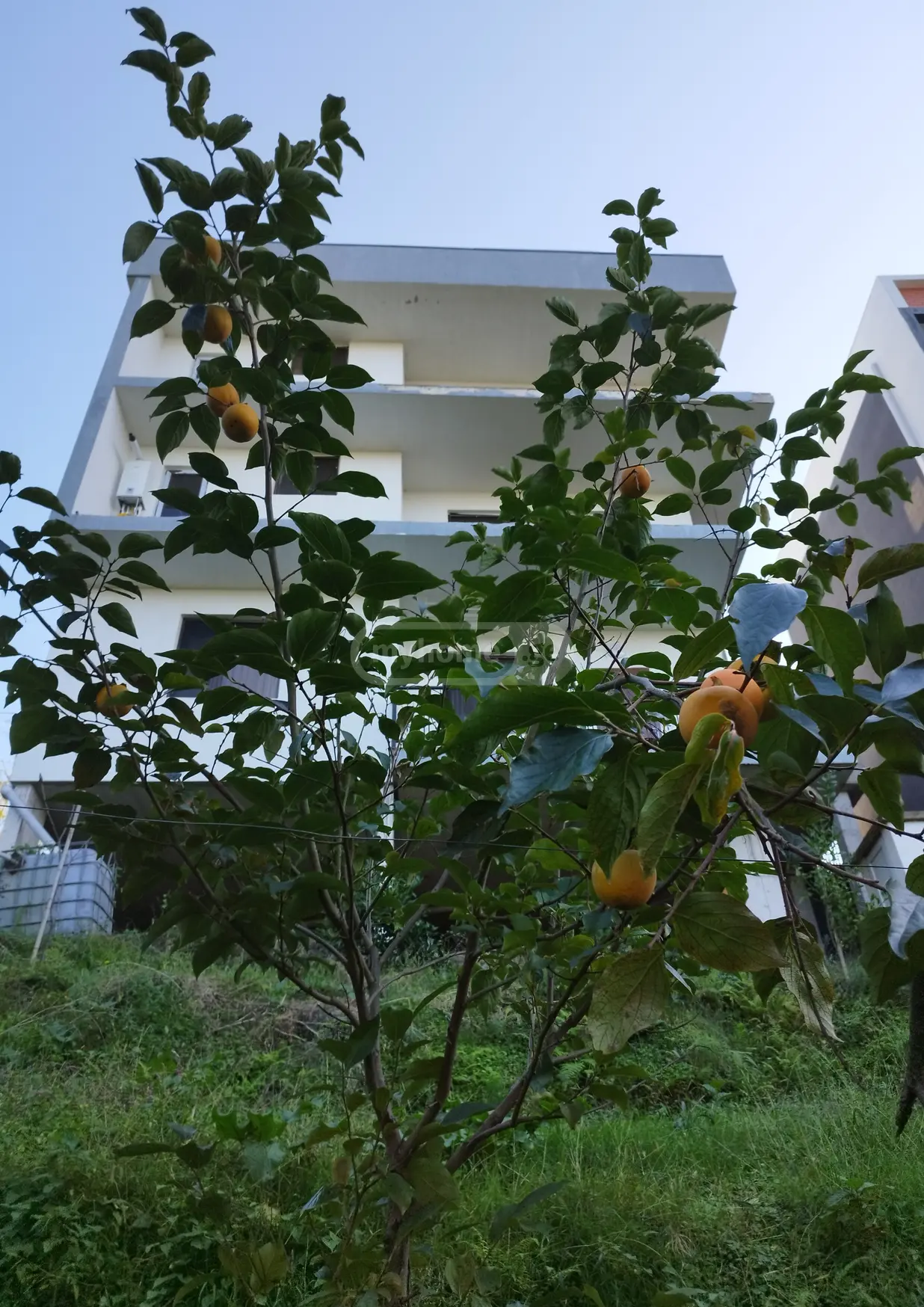 5 Room Private House For Sale view 15
