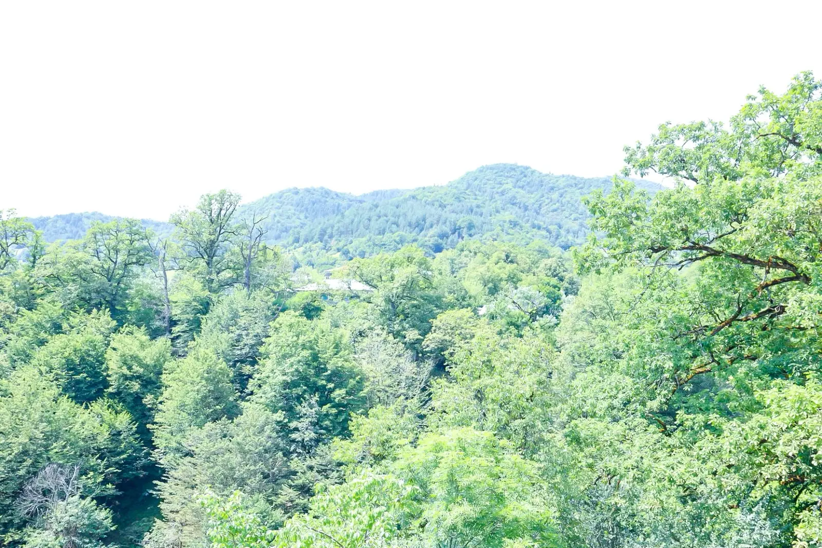 5 Room Apartment Daily Rent In Ambrolauri view 8
