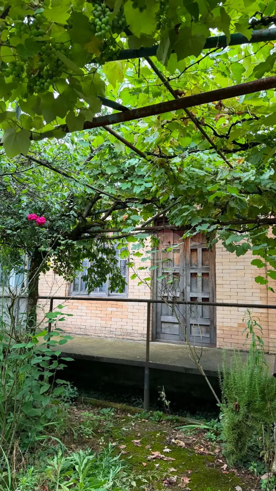 5 Room Private House For Sale view 12