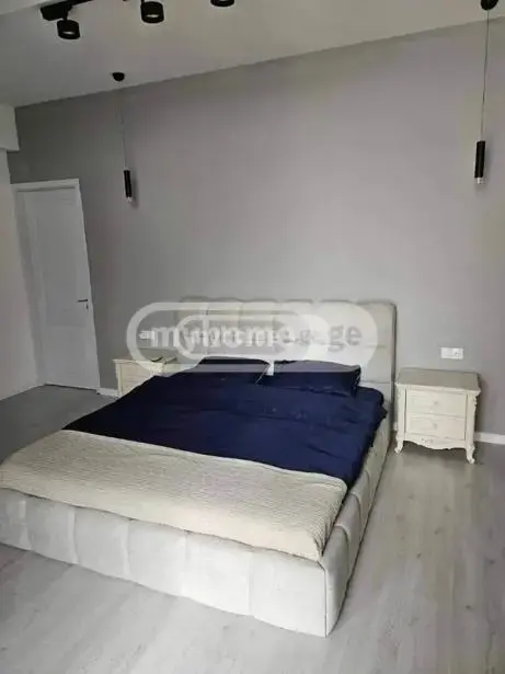 6 Room Country House Daily Rent In Didi Digomi view 37