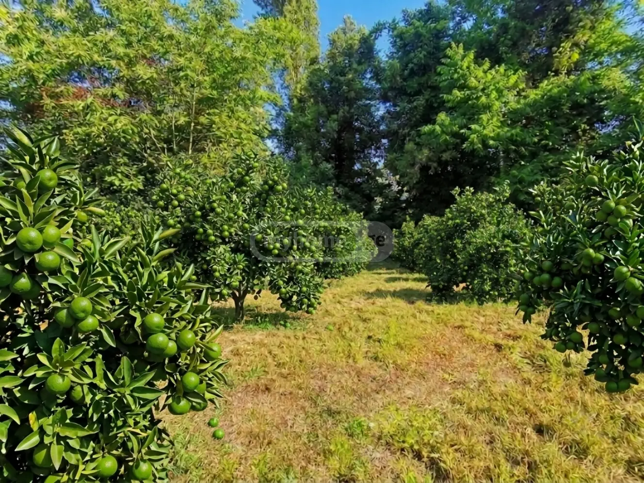 6 Room Private House For Rent In Tsikhisdziri, In Kobuleti Municipality view 11