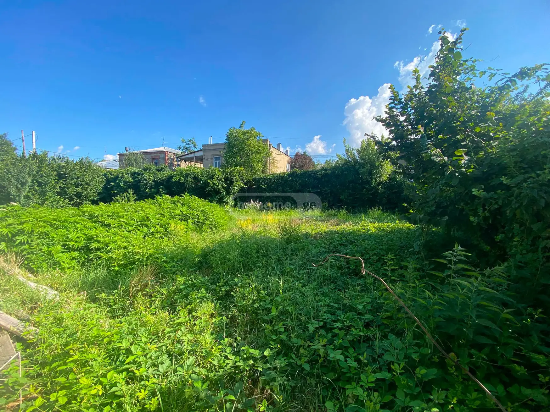 Agricultural Plot For Sale In Telavi view 1