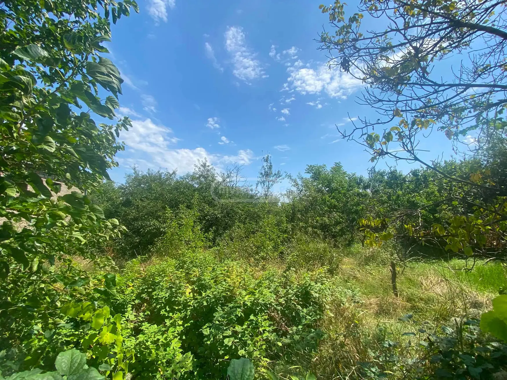 იყიდება Agricultural Plot In Kurdghelauri, In Telavi Municipalityში view 3