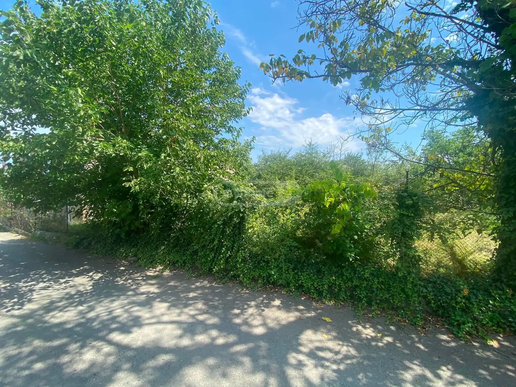 იყიდება Agricultural Plot In Kurdghelauri, In Telavi Municipalityში view 5