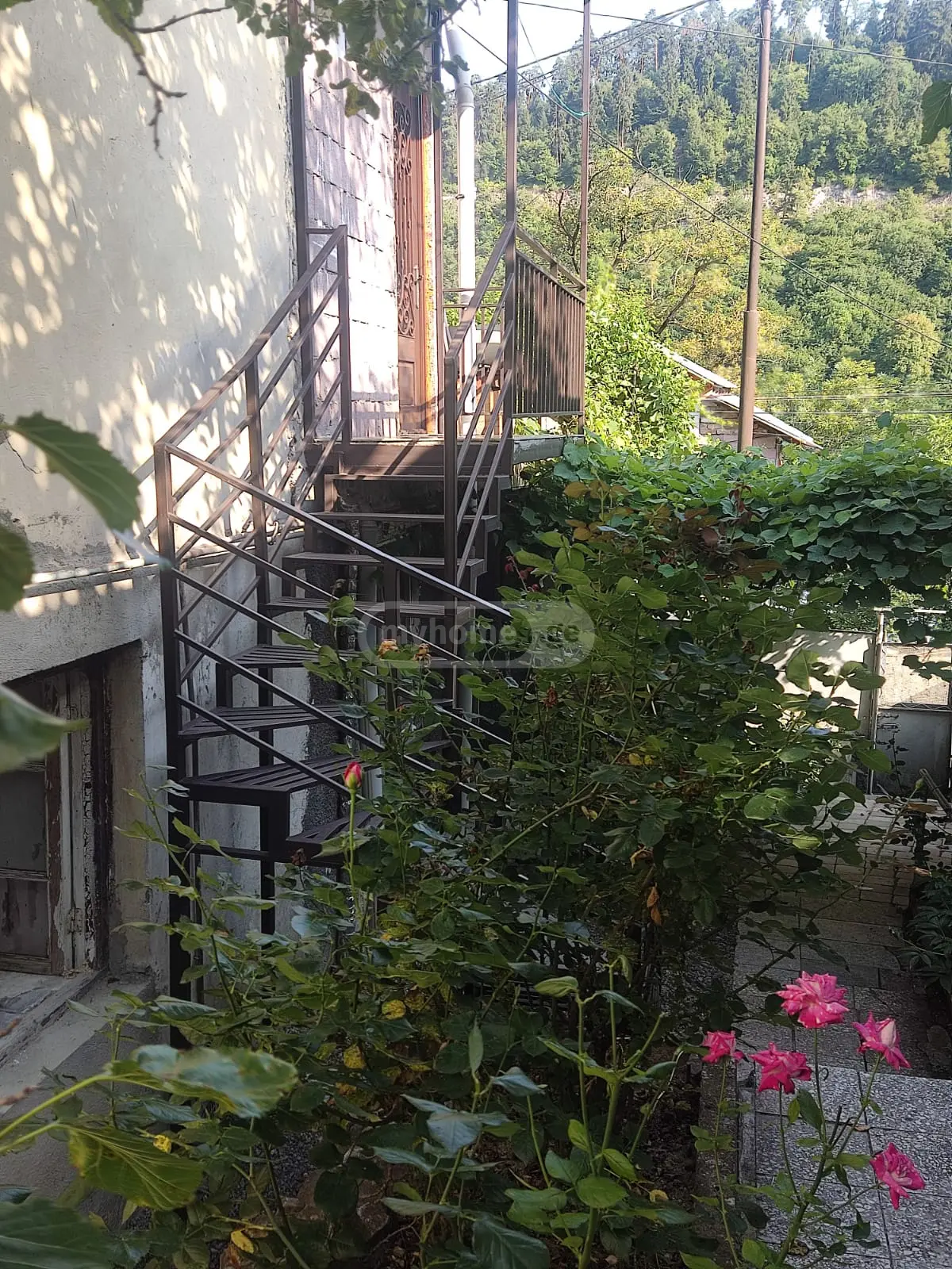 1 Room Private House Daily Rent In Borjomi view 11