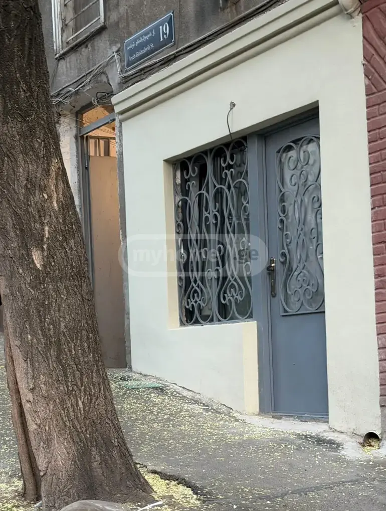 Food Object Commercial Area For Rent In Abanotubani view 1