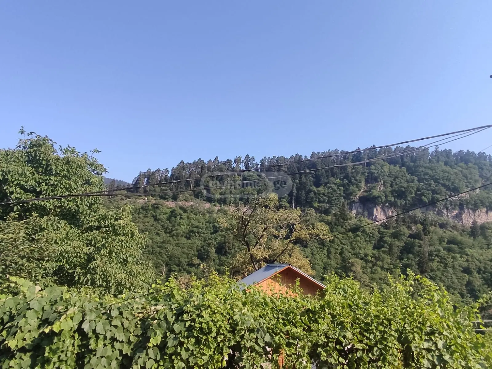 1 Room Private House Daily Rent In Borjomi view 12
