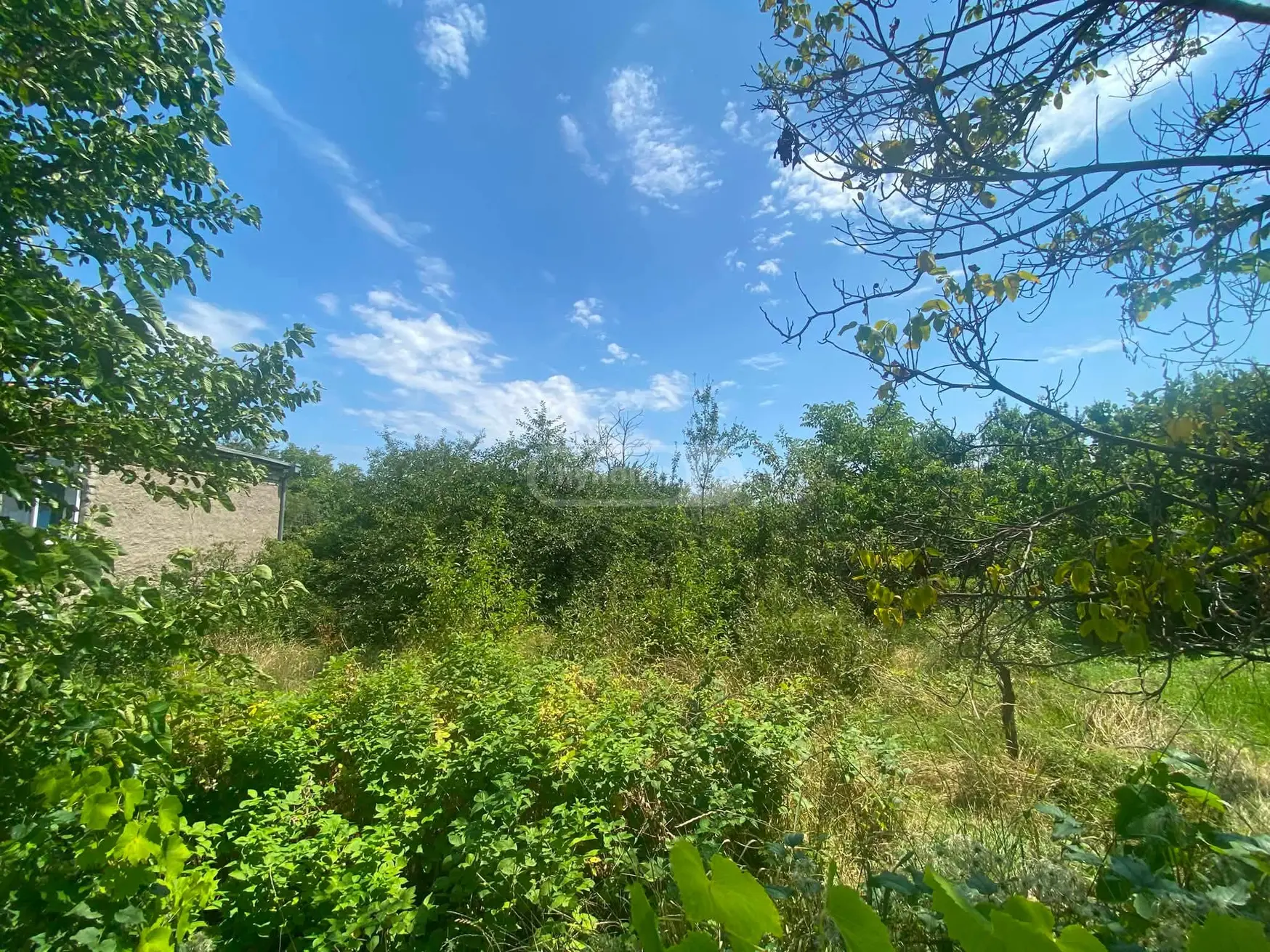 იყიდება Agricultural Plot In Kurdghelauri, In Telavi Municipalityში view 4