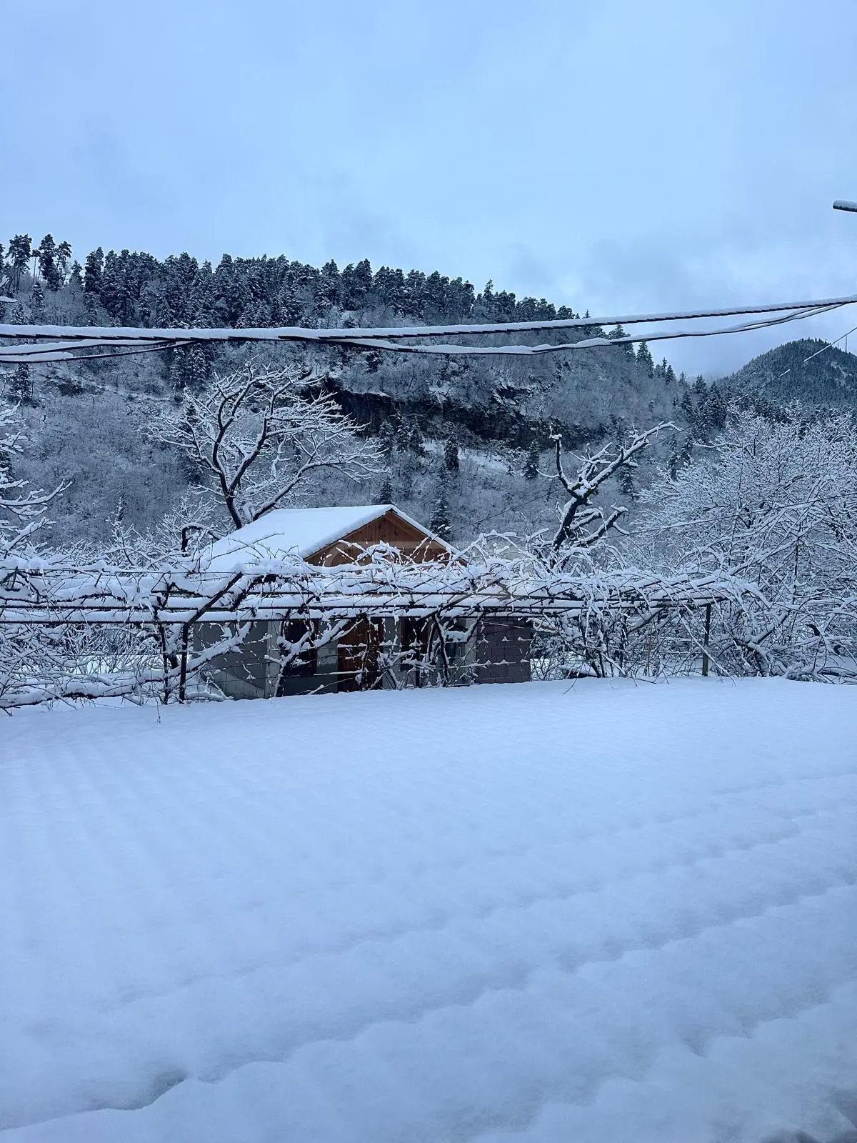 1 Room Private House Daily Rent In Borjomi view 13