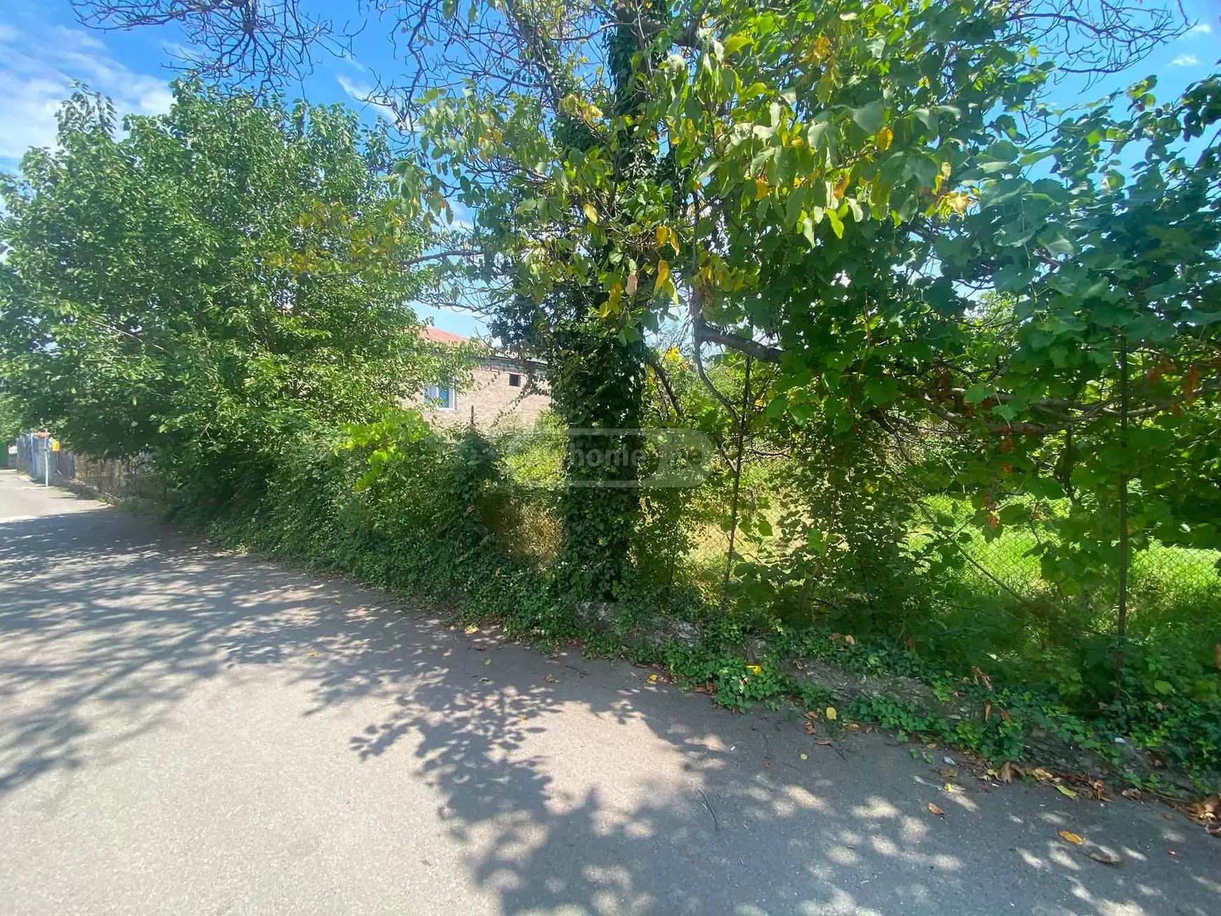 იყიდება Agricultural Plot In Kurdghelauri, In Telavi Municipalityში view 2