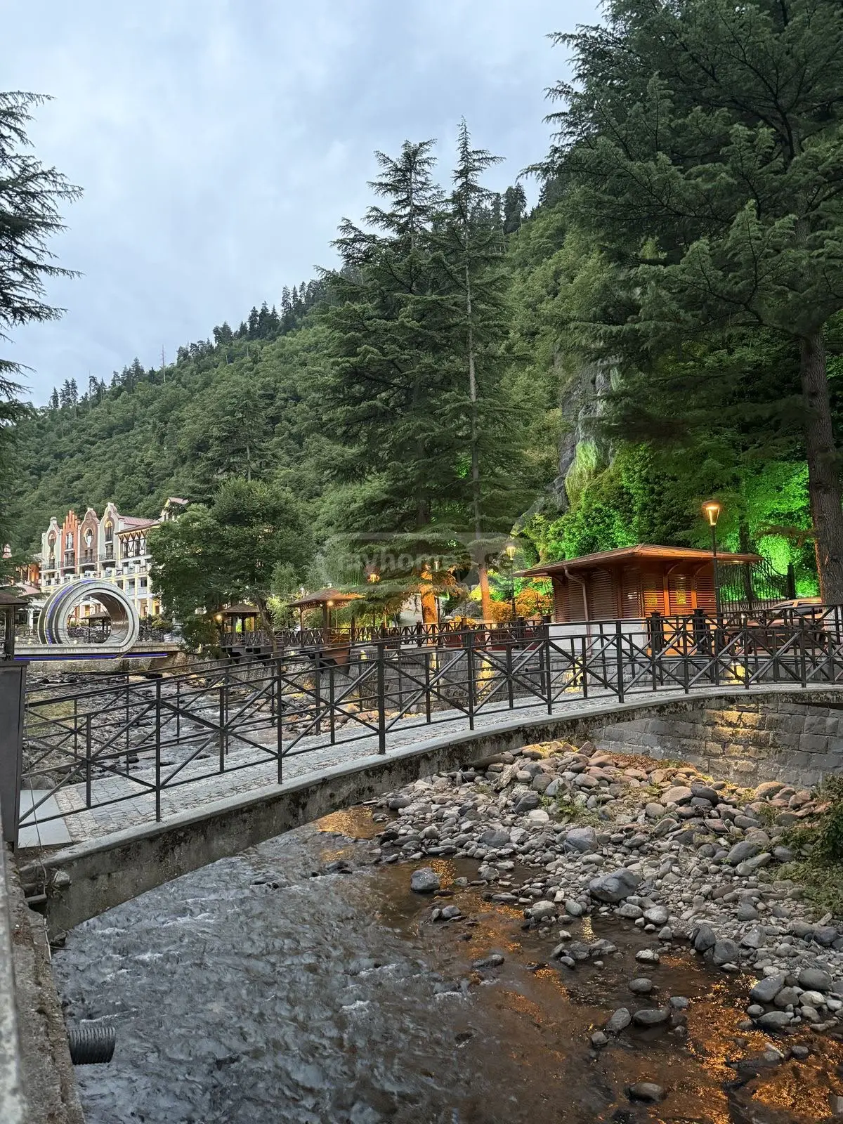 1 Room Private House Daily Rent In Borjomi view 14