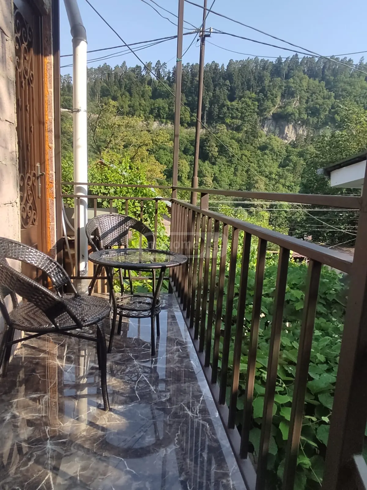 1 Room Private House Daily Rent In Borjomi view 9