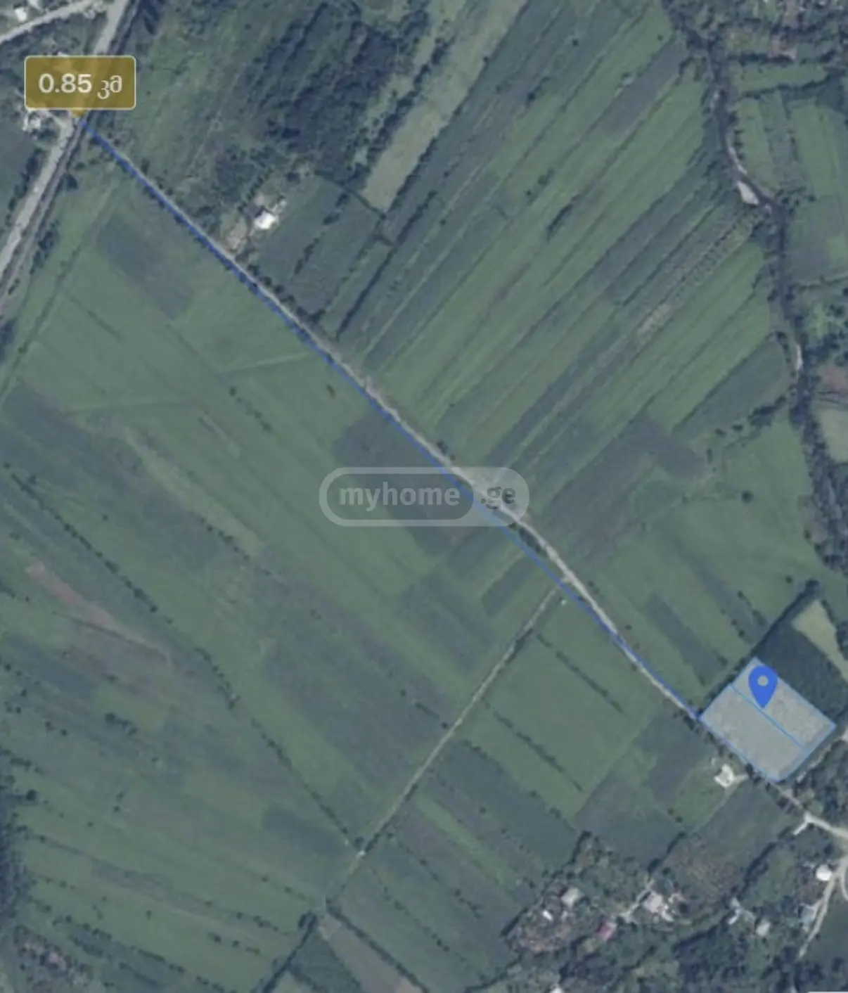 Agricultural Plot For Sale In Bobokvati, In Kobuleti Municipality view 2