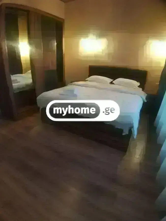 7 Room Country House Daily Rent In Didi Digomi view 34