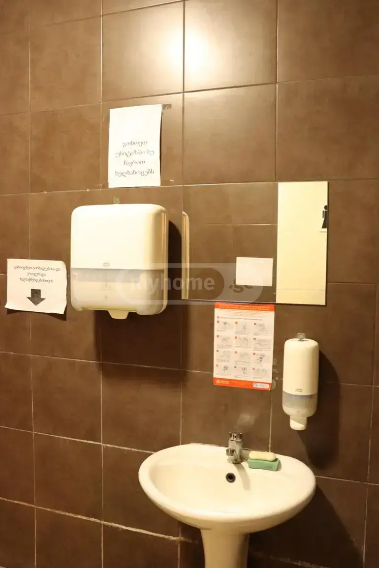 Universal Commercial Area For Rent In Tskneti view 12