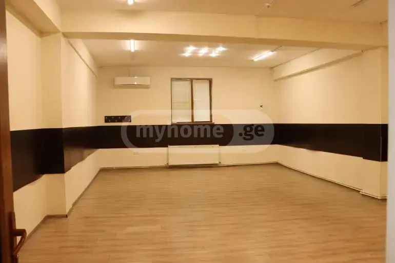 Universal Commercial Area For Rent In Tskneti view 14