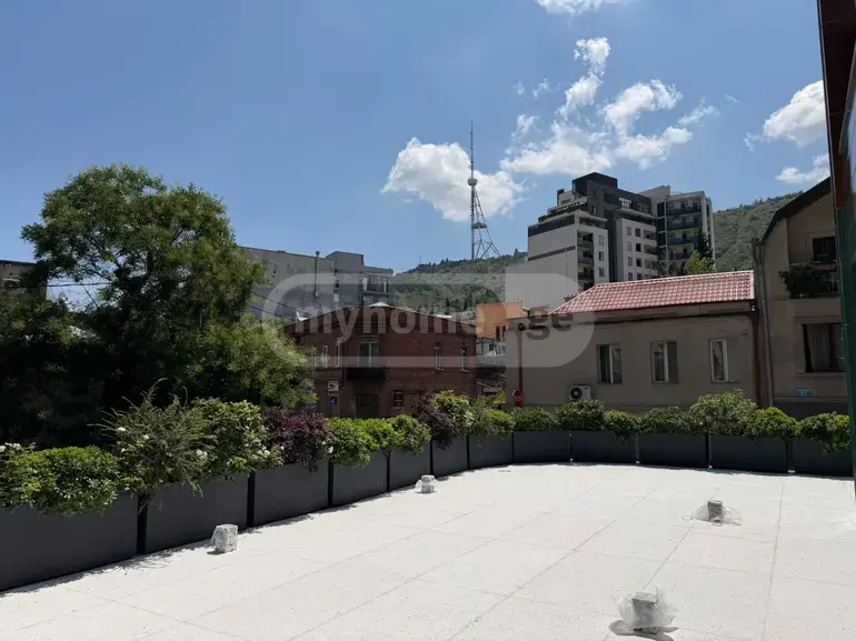 Universal Commercial Area For Rent In Tskneti view 2