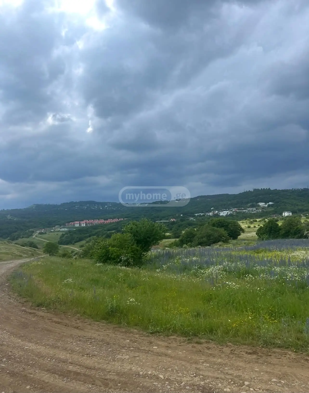 Agricultural Plot For Sale In Tabakhmela view 2