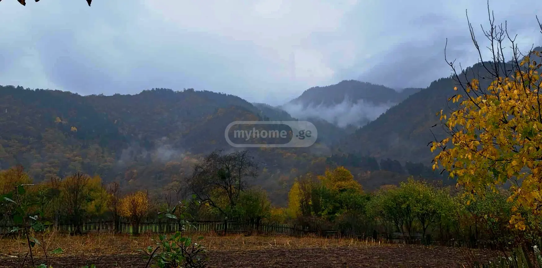 იყიდება Agricultural Plot In Chitakhevi, In Borjomi Municipalityში view 1