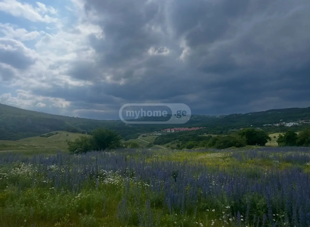 Agricultural Plot For Sale In Tabakhmela view 5