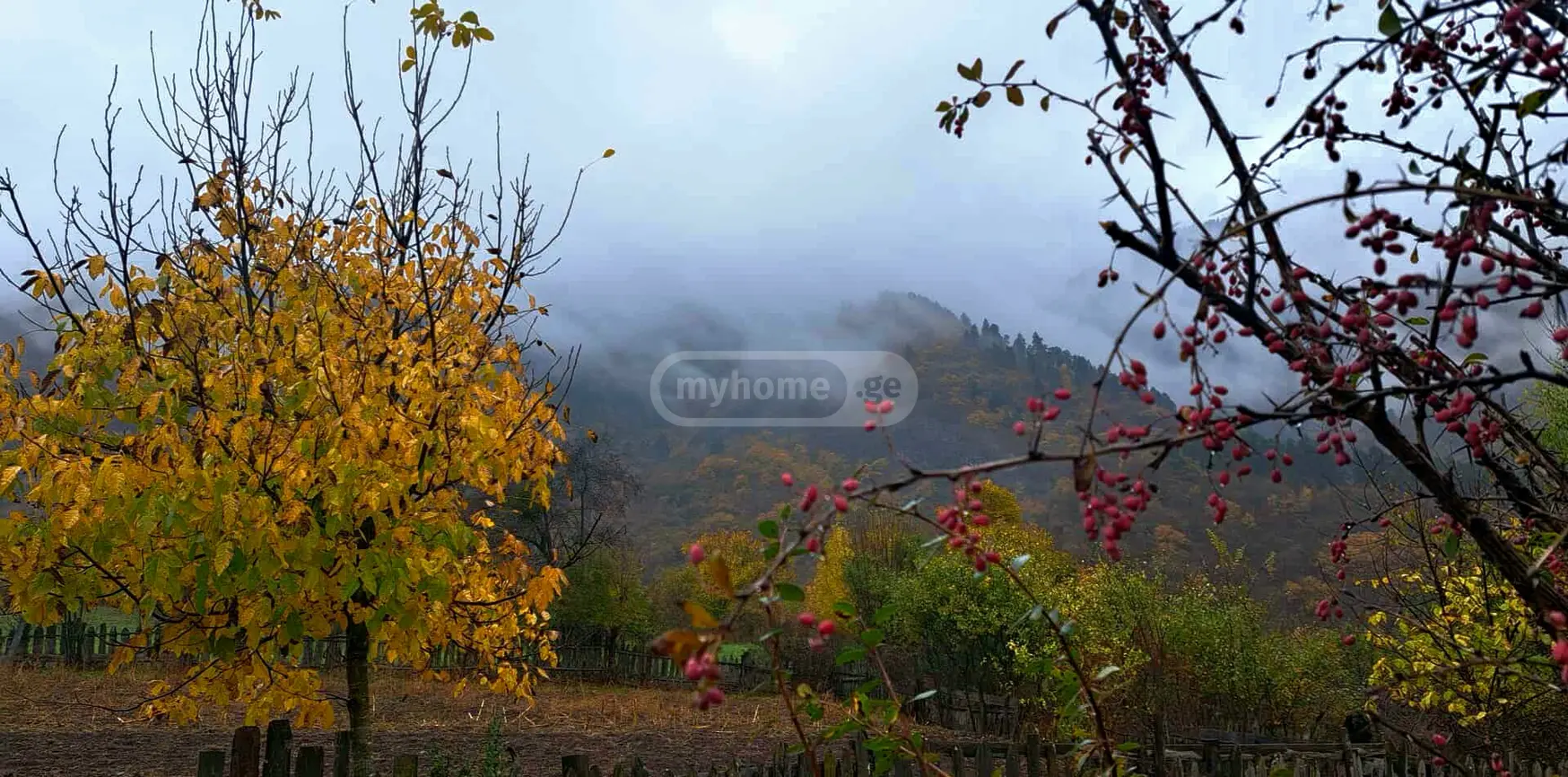 იყიდება Agricultural Plot In Chitakhevi, In Borjomi Municipalityში view 4