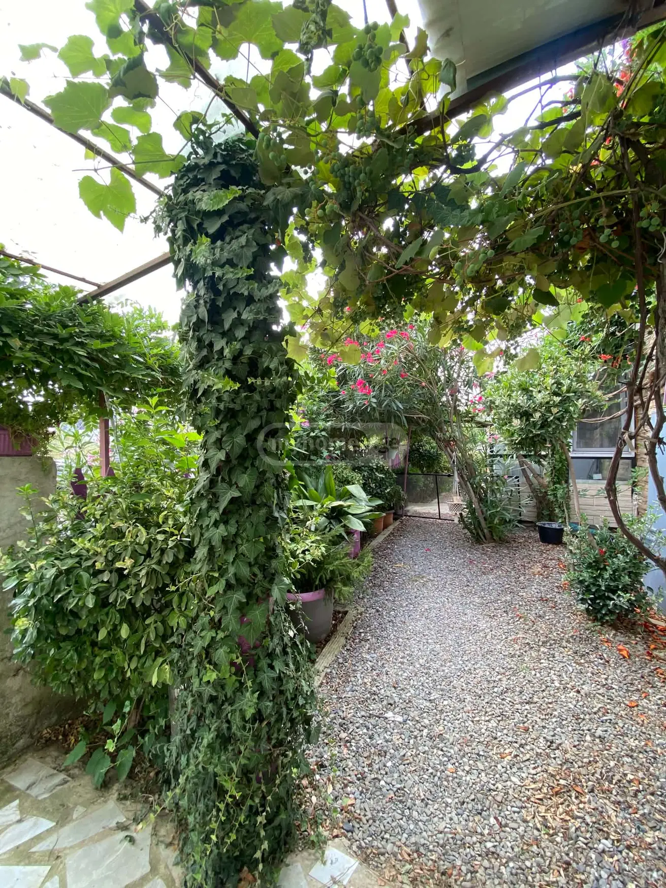 3 Room Private House For Sale view 23