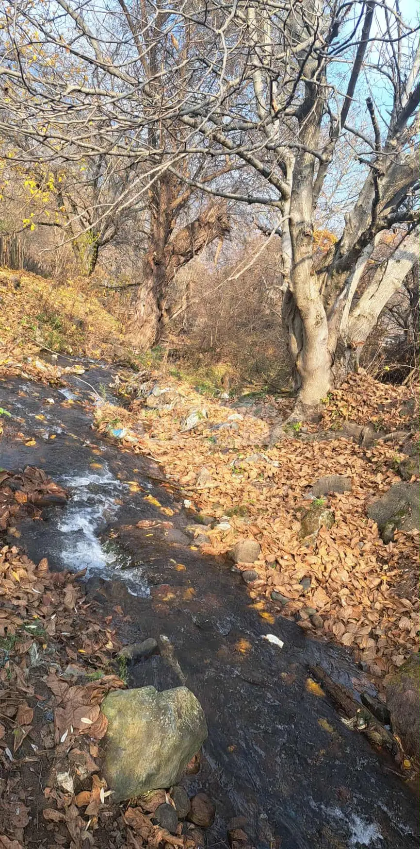 იყიდება Agricultural Plot In Chitakhevi, In Borjomi Municipalityში view 2