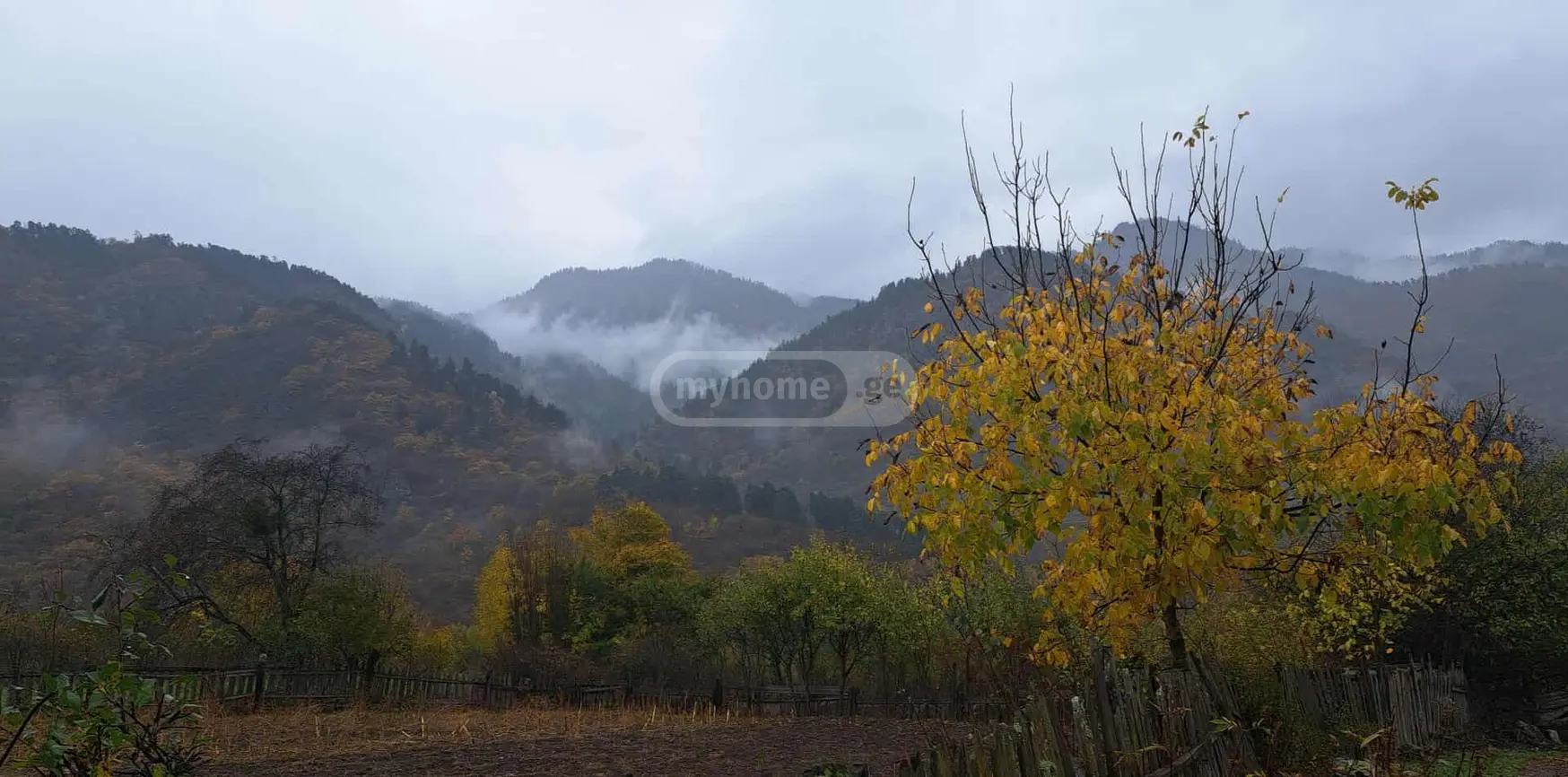 იყიდება Agricultural Plot In Chitakhevi, In Borjomi Municipalityში view 3