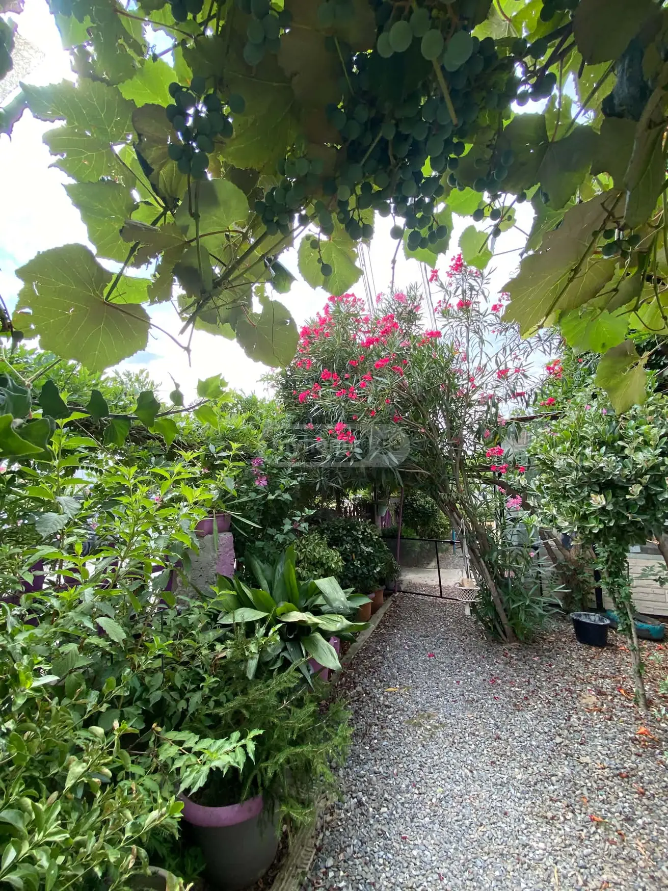 3 Room Private House For Sale view 21