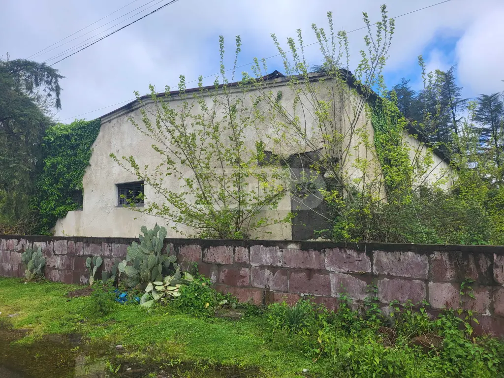 Warehousing Commercial Area For Sale In Zugdidi view 7