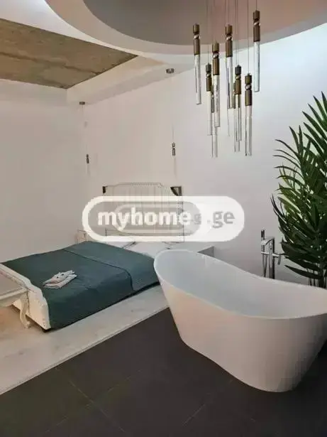 6 Room Country House Daily Rent In Didi Digomi view 47
