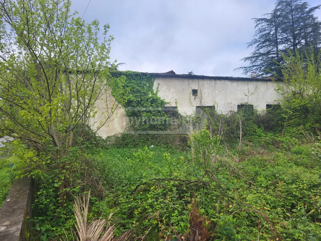 Warehousing Commercial Area For Sale In Zugdidi view 11
