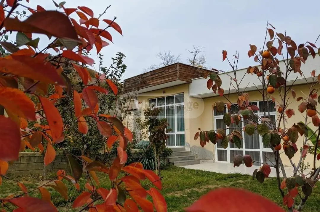 7 Room Private House Daily Rent In Didi Digomi view 20