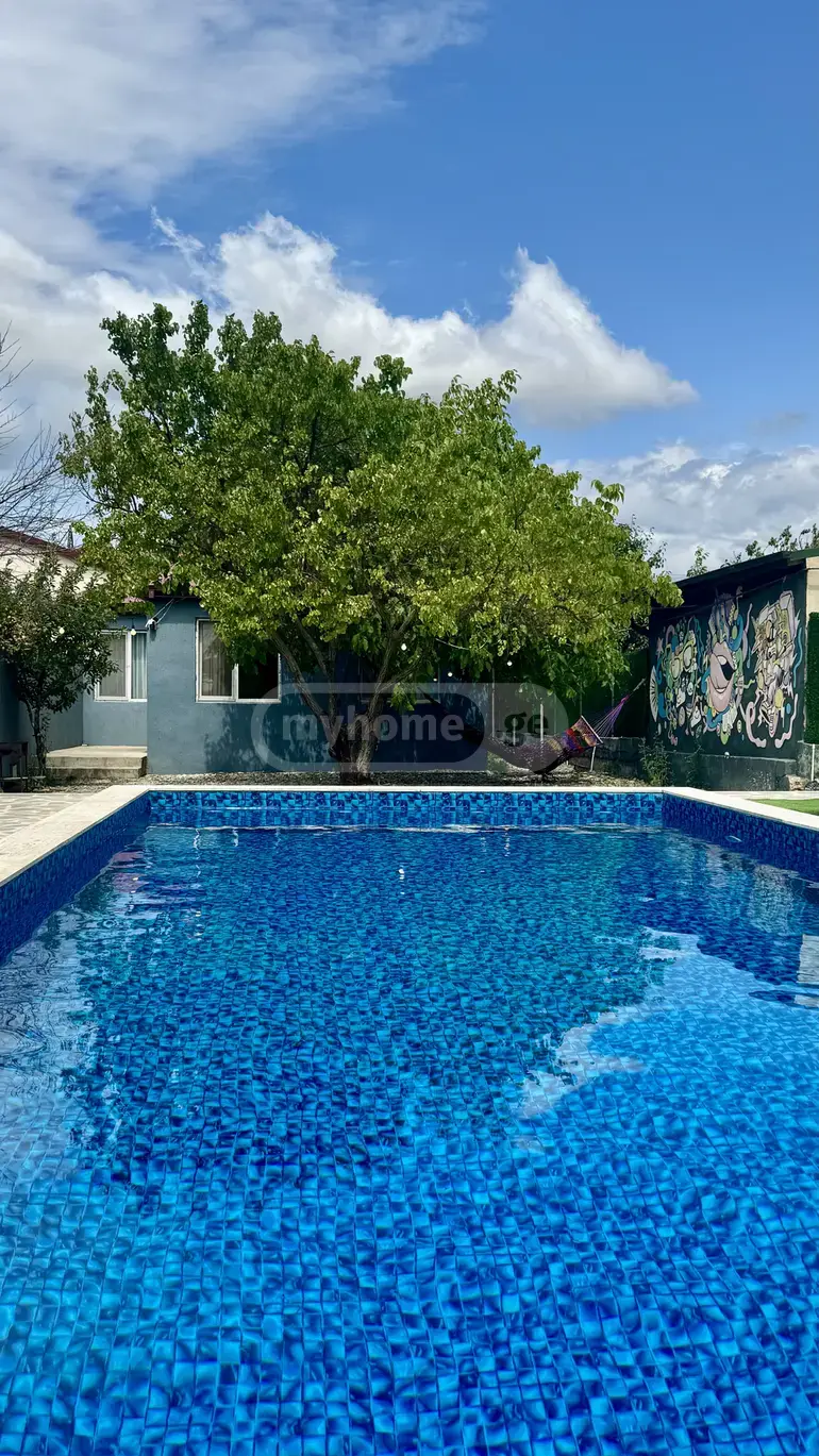 3 Room Private House Daily Rent In Chugureti view 8