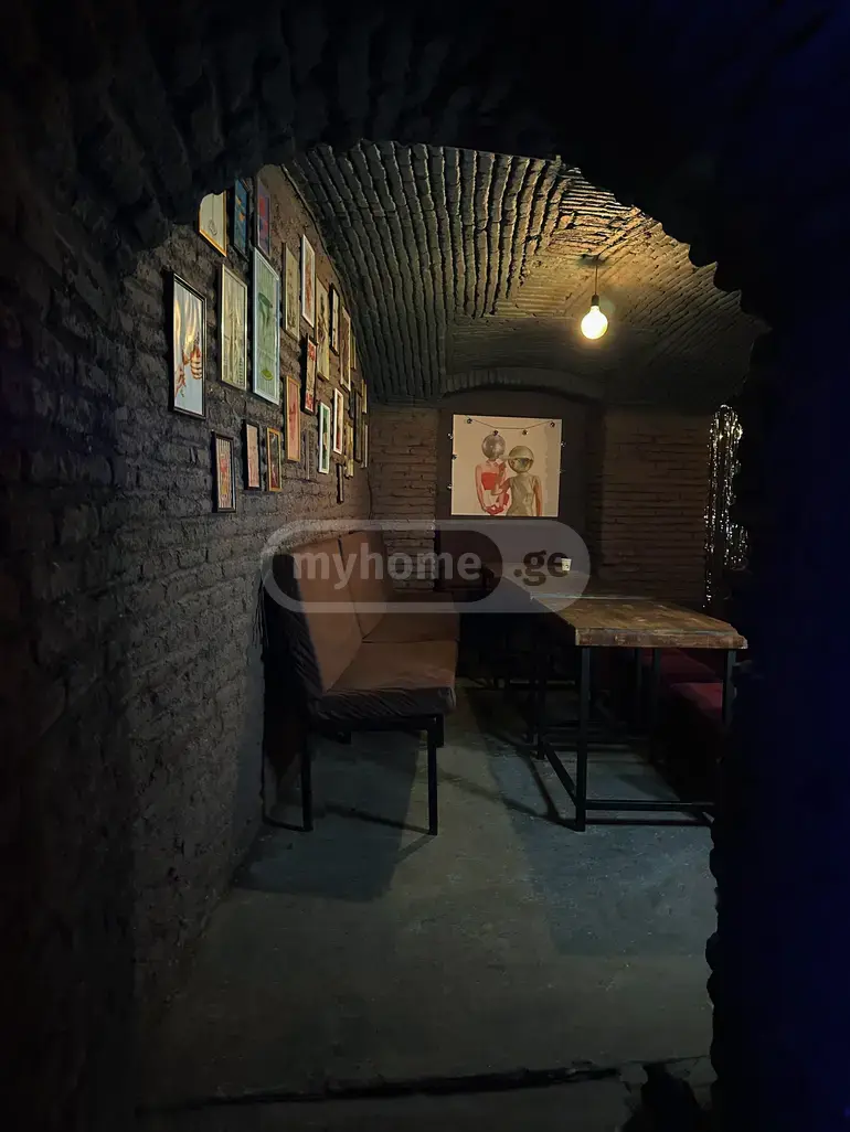 4 Room Private House Daily Rent In Chugureti view 24